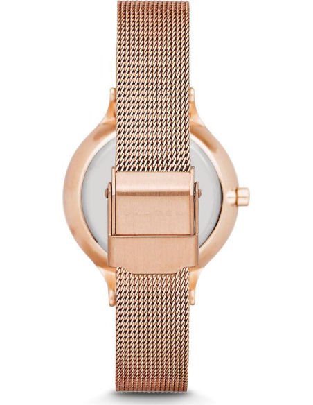 Chic Time | Skagen SKW2151 women's watch | Buy at best price