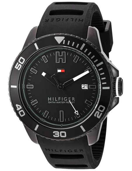 Chic Time | Tommy Hilfiger 1791265 men's watch | Buy at best price