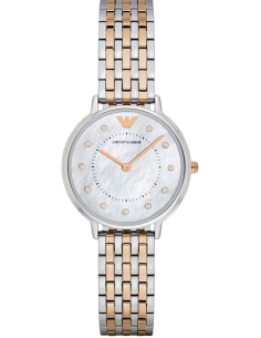 Ar2450 discount armani watch