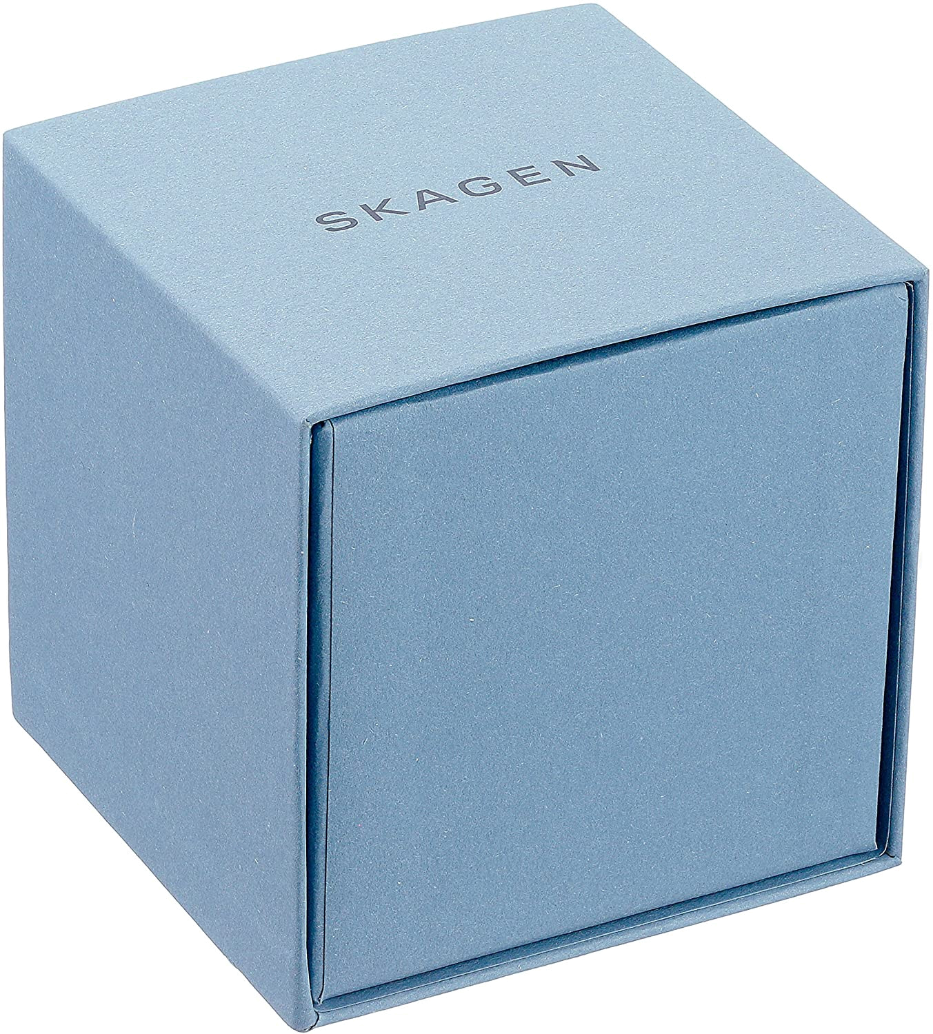 Skagen skw2701 online