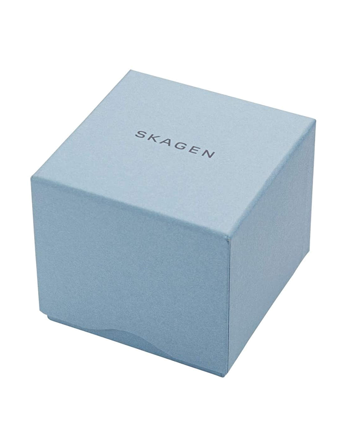 Skagen Signatur SKW6577 Men s watch at 149 00 Authorized Vendor