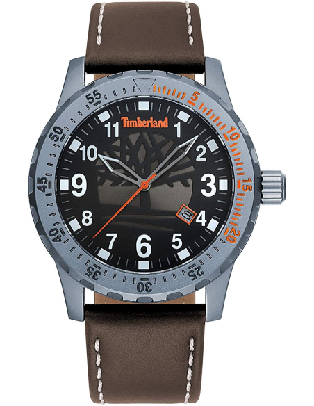 Chic Time | Timberland TBL.15473JLU 02 Men's watch | Buy at best price