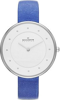 Chic Time | Skagen SKW2172 women's watch | Buy at best price