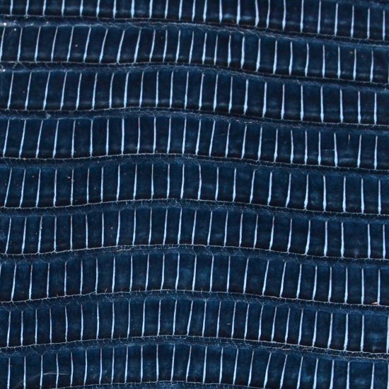 cuir-lezard-teju-bleu