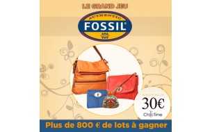 Le grand jeu Fossil : c'est parti ! Le grand jeu Fossil : c'est parti !